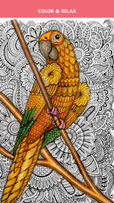 Colorist - Adult Coloring Book screenshot 2