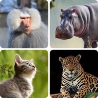 Mammals – Learn All Animals! apk