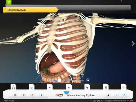 Human Anatomy - Skeletal screenshot 3