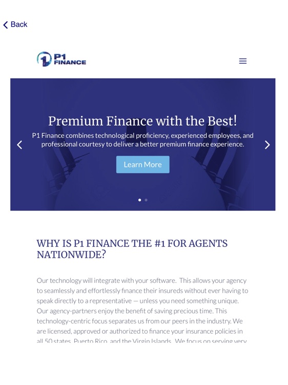 P1 Finance for iPad