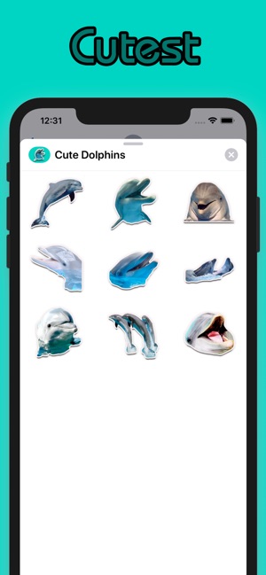 Cute Dolphins(圖3)-速報App