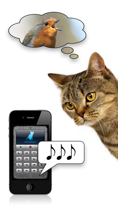 How to cancel & delete Human-to-Cat Translator Deluxe from iphone & ipad 3