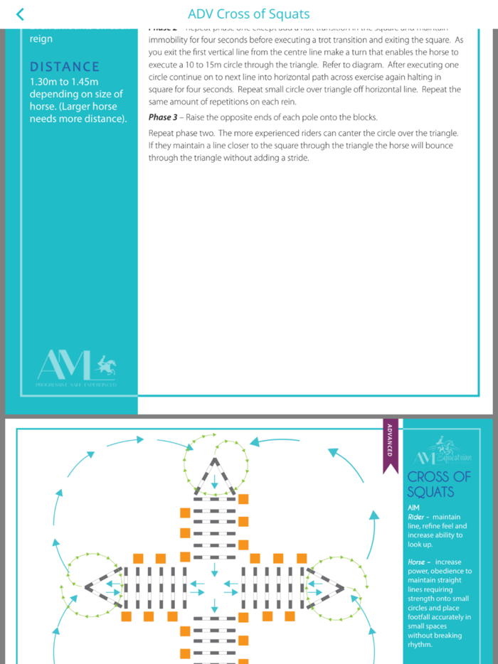 AML Equestrian Coaching