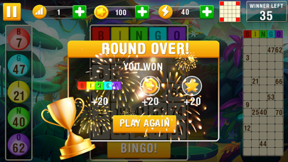 Bingo Card Game screenshot 3