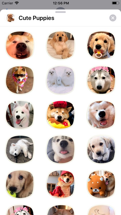 Cute Puppies Sticker Pack