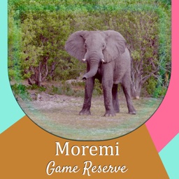 Moremi Game Reserve