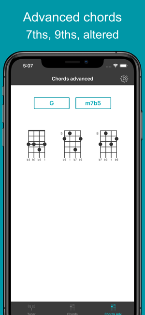 Mandolin Tuner EM-1(圖5)-速報App