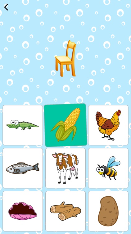 Kids Brain Trainer (PreSchool) screenshot-5