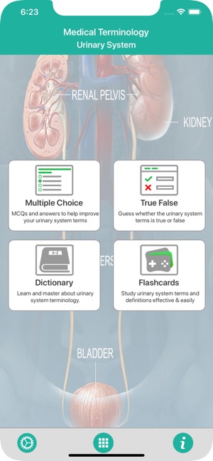 Urinary System Medical Terms(圖1)-速報App