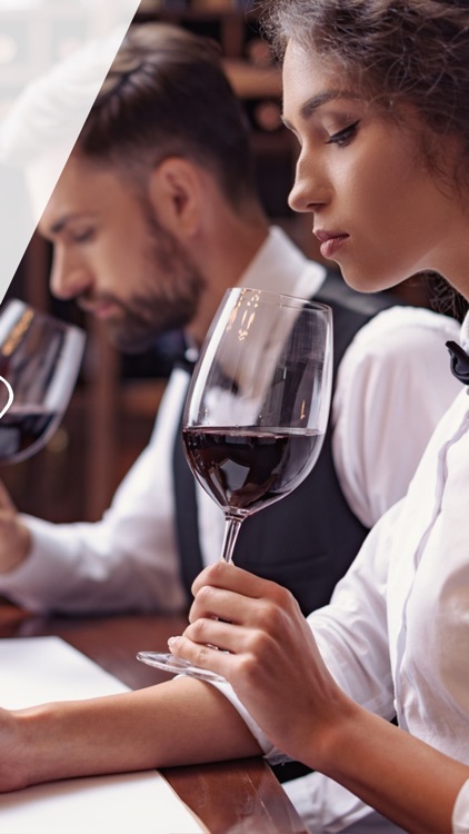 Wine Rating Search Secrets app