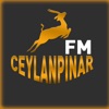 CeylanPinar FM