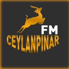 Top 11 Entertainment Apps Like CeylanPinar FM - Best Alternatives