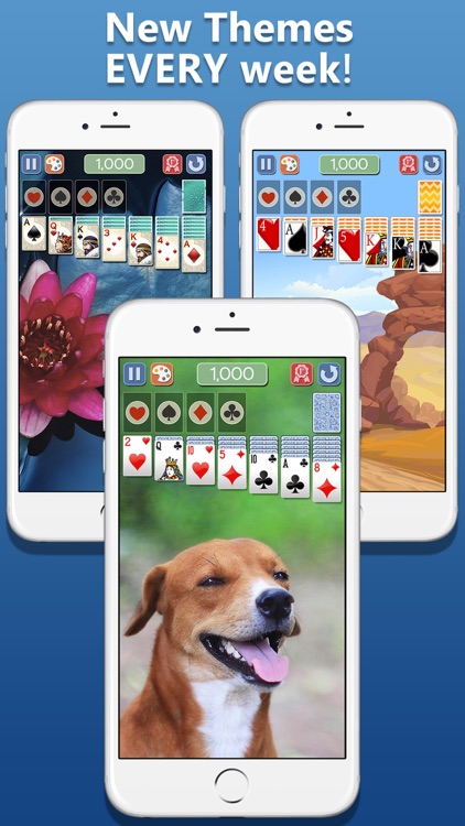 Solitaire Deluxe® 2 screenshot-4