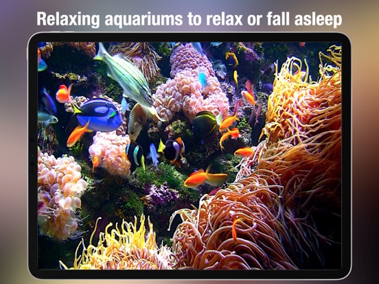 Aquarium Live - Real Fish Tank screenshot 2