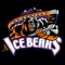 Knoxville Ice Bears Game Day