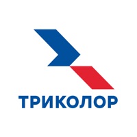 Мой Триколор for windows