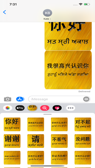 Chinese Punjabi screenshot 4