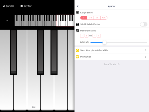 Easy Touch Piano screenshot 4