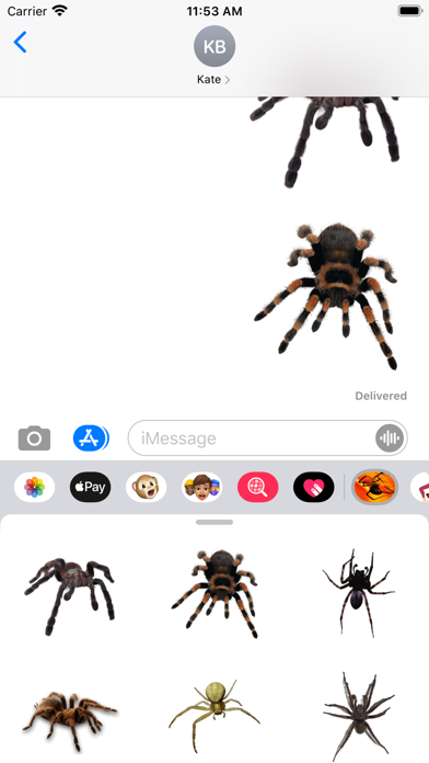 Spider Collection screenshot 3