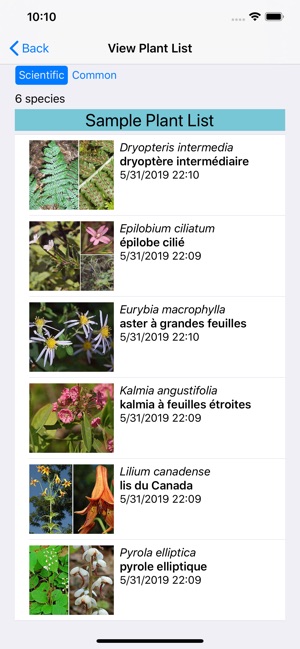 Quebec Wildflowers(圖7)-速報App