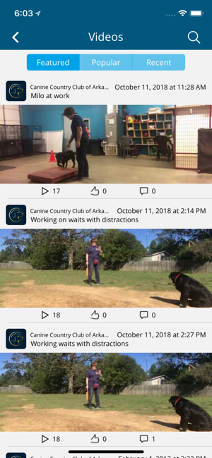 Canine Country Club(圖3)-速報App