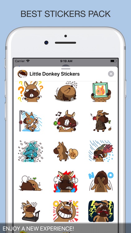 Little Donkey Stickers screenshot-4