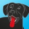 Looking for a pet-friendly hotel