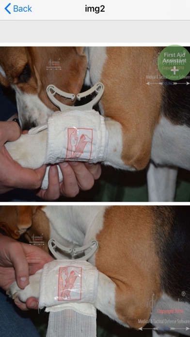 first aid for dogs K9 screenshot 3