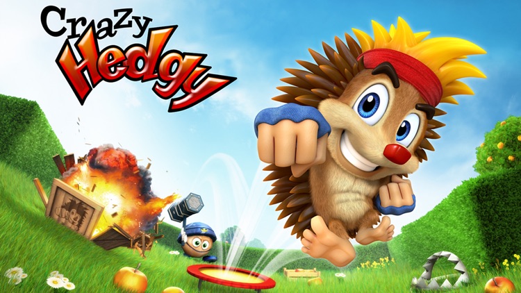 Crazy Hedgy - 3D Platformer screenshot-4