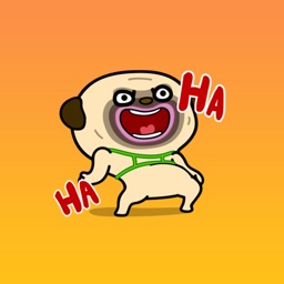 Cool Dog Animated Stickers
