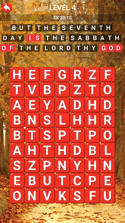 LDS Scripture Word Search screenshot-4