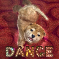 Animal Dance puppies pour PC