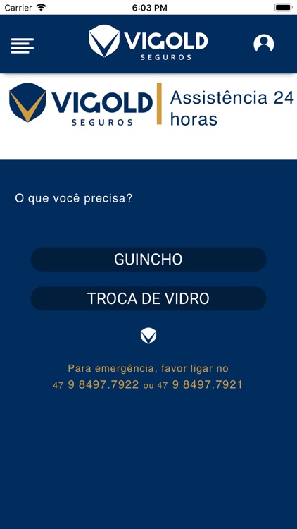 Vigold Seguros