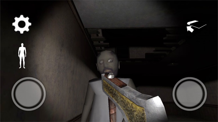 BRALDI & GRANNY SCARY-CHAPTER1 screenshot-4