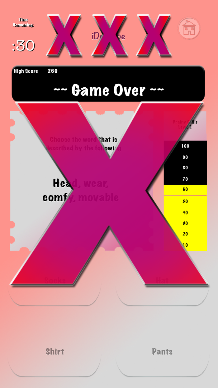 Brainy Skills iDescribe