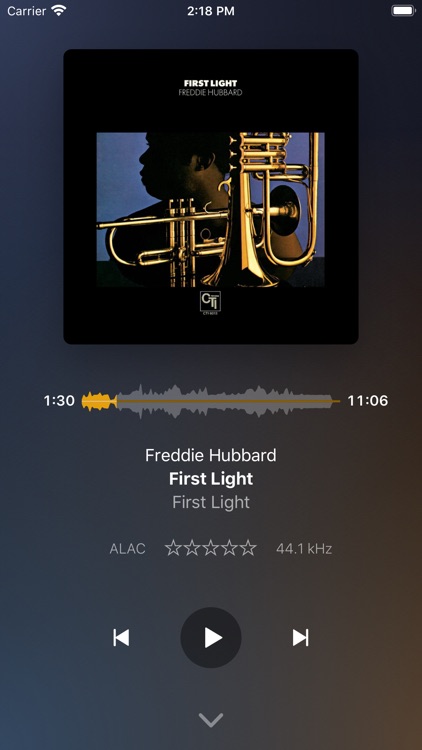 Plexamp screenshot-6
