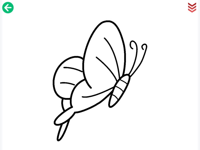 Baby Animal Color HD