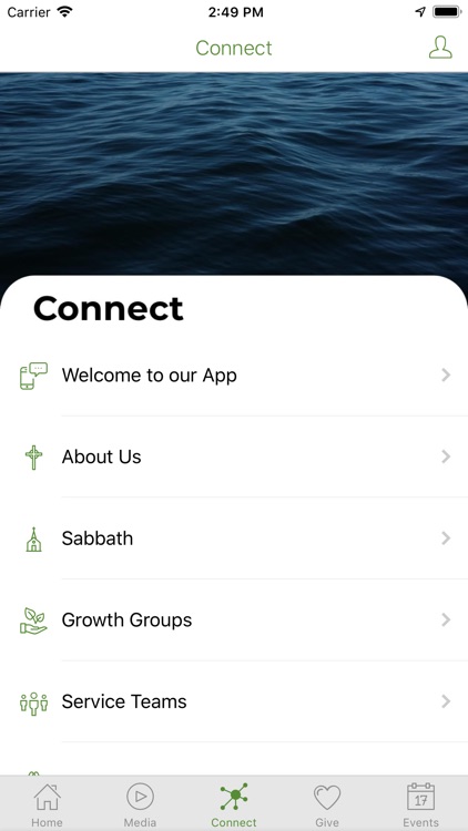 Discover Life Sonora