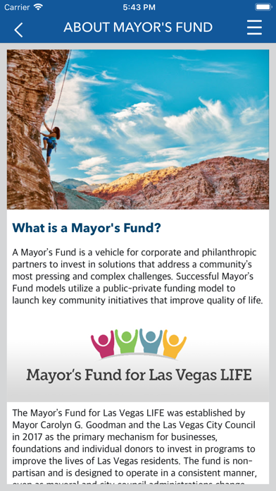 Mayor's Fund LV screenshot 3