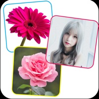 HHMPhotoCollage pour PC