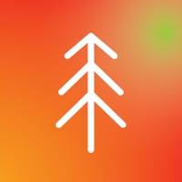 Ficus social pour PC