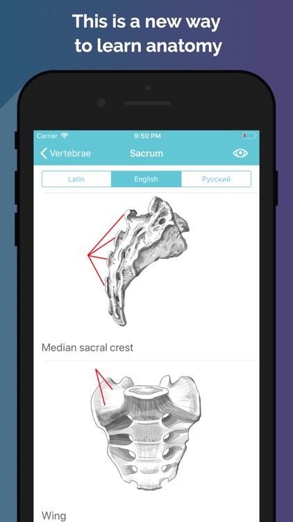 Easy Anatomy - Atlas & Quizzes screenshot-0