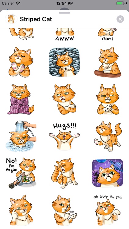 Striped Cat Sticker Pack