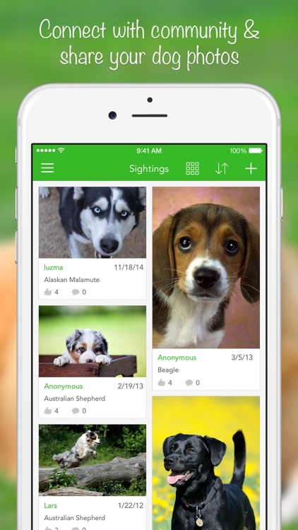 iKnow Dogs 2 PRO screenshot-4
