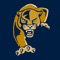 Panther Help allows the FIU Business School students to receive on-campus tutoring help for any subject