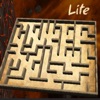 RndMaze - Classic Maze Lite