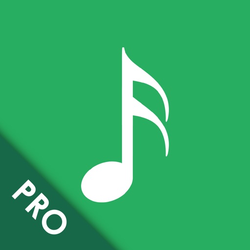 MusicBuddy Pro: Music Manager