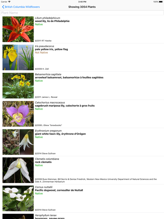 British Columbia Wildflowers screenshot 2