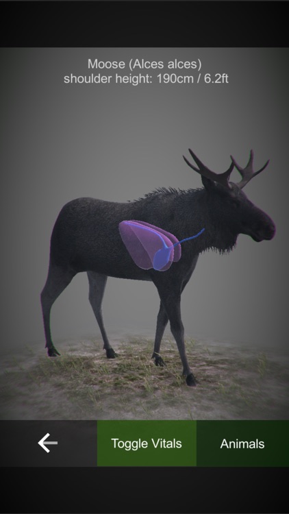 HuntingSim