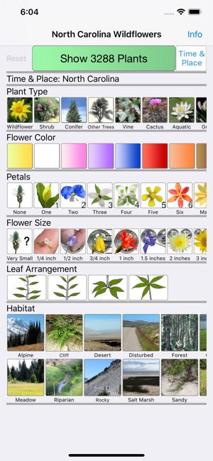 North Carolina Wildflowers(圖1)-速報App